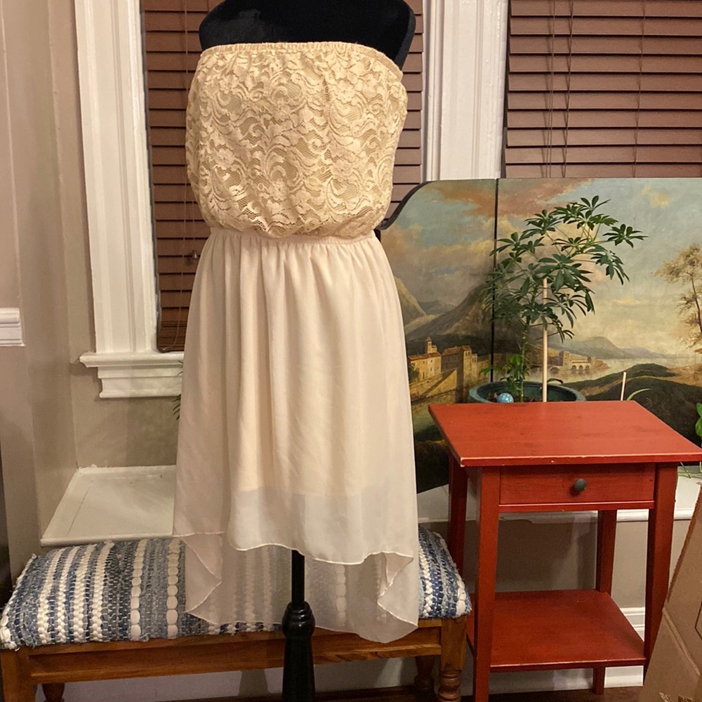 Nude Strapless Dress